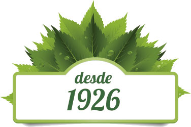 desde 1926