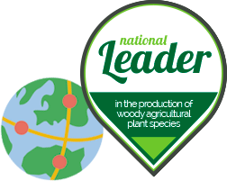 National leader, in the production of woody agricultural plant species